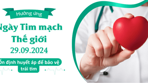 NGÀY TIM  MẠCH THẾ GIỚI 29/9 NĂM 2024: “ỔN ĐỊNH HUYẾT ÁP ĐỂ BẢO VỆ TRÁI TIM”